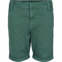 The New - Gustavo Chino Shorts // Galapagos grøn